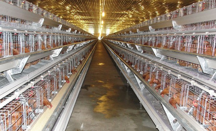 How many parts does the automatic feeder have?